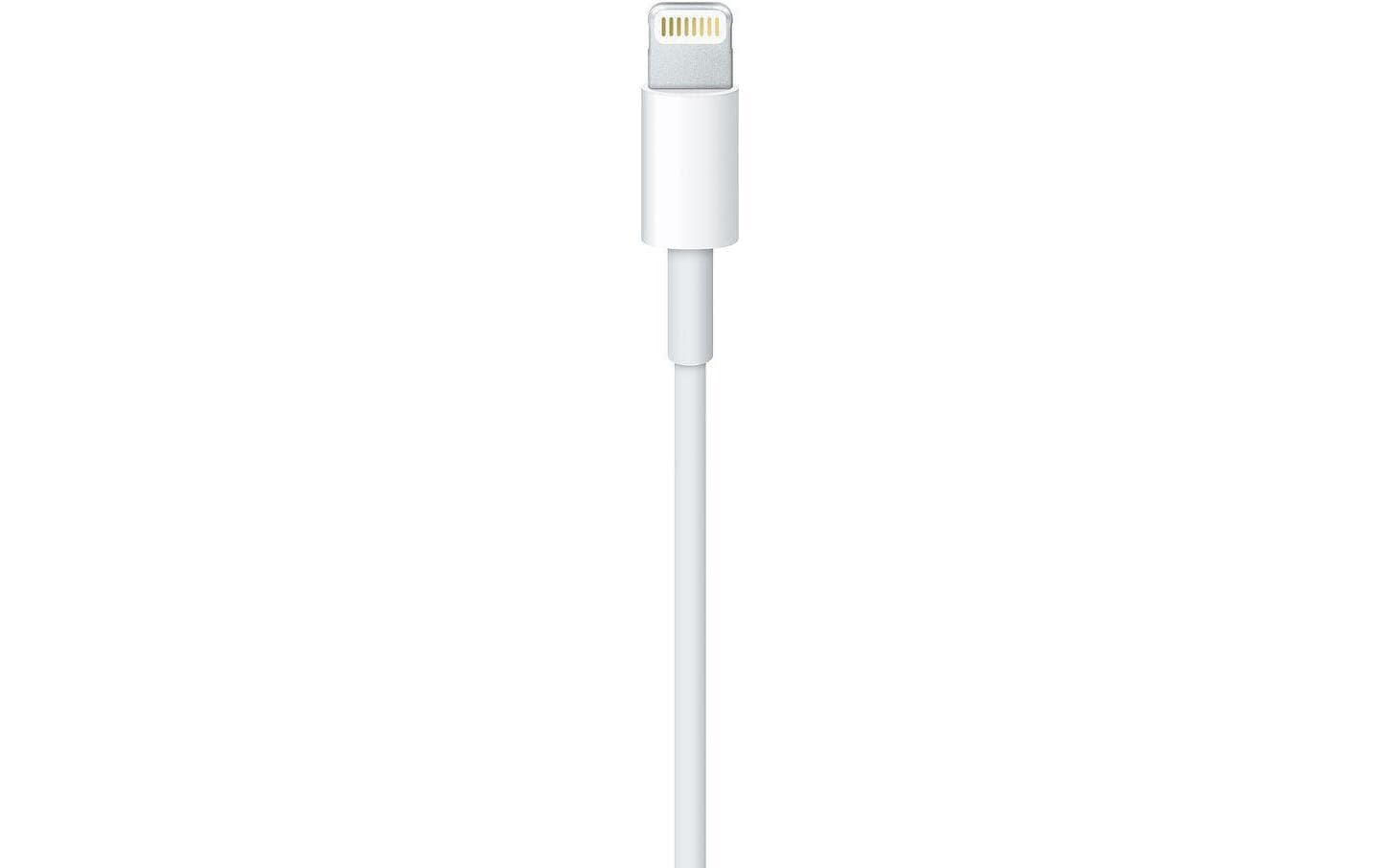 Apple USB 2.0-Kabel USB A - Lightning 0.5 m Apple USB 2.0-Kabel USB A - Lightning 0.5 m
