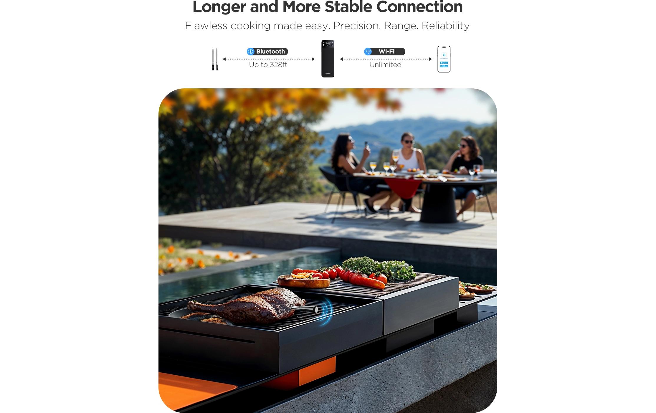 Govee Fleischthermometer