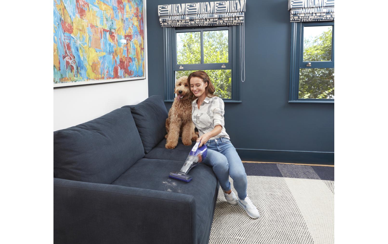 BLACK+DECKER Akku-Handsauger Dustbuster Pet Titanium/Violett