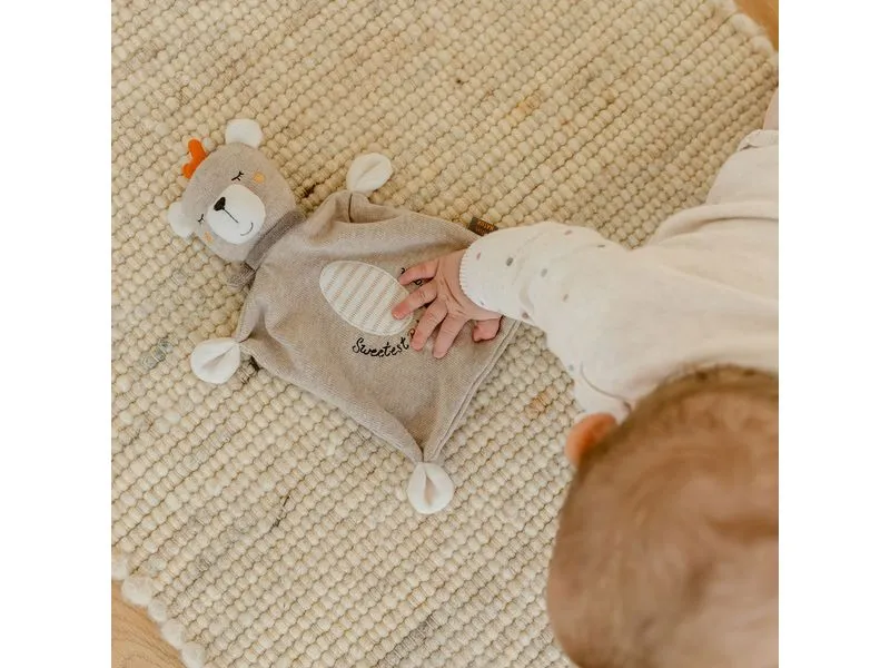 fehn Schmusetuch Teddy Baby fehn Schmusetuch Teddy Baby