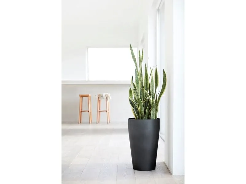 Ecopots Blumentopf Sankara High Ø 45 cm Dunkelgrau