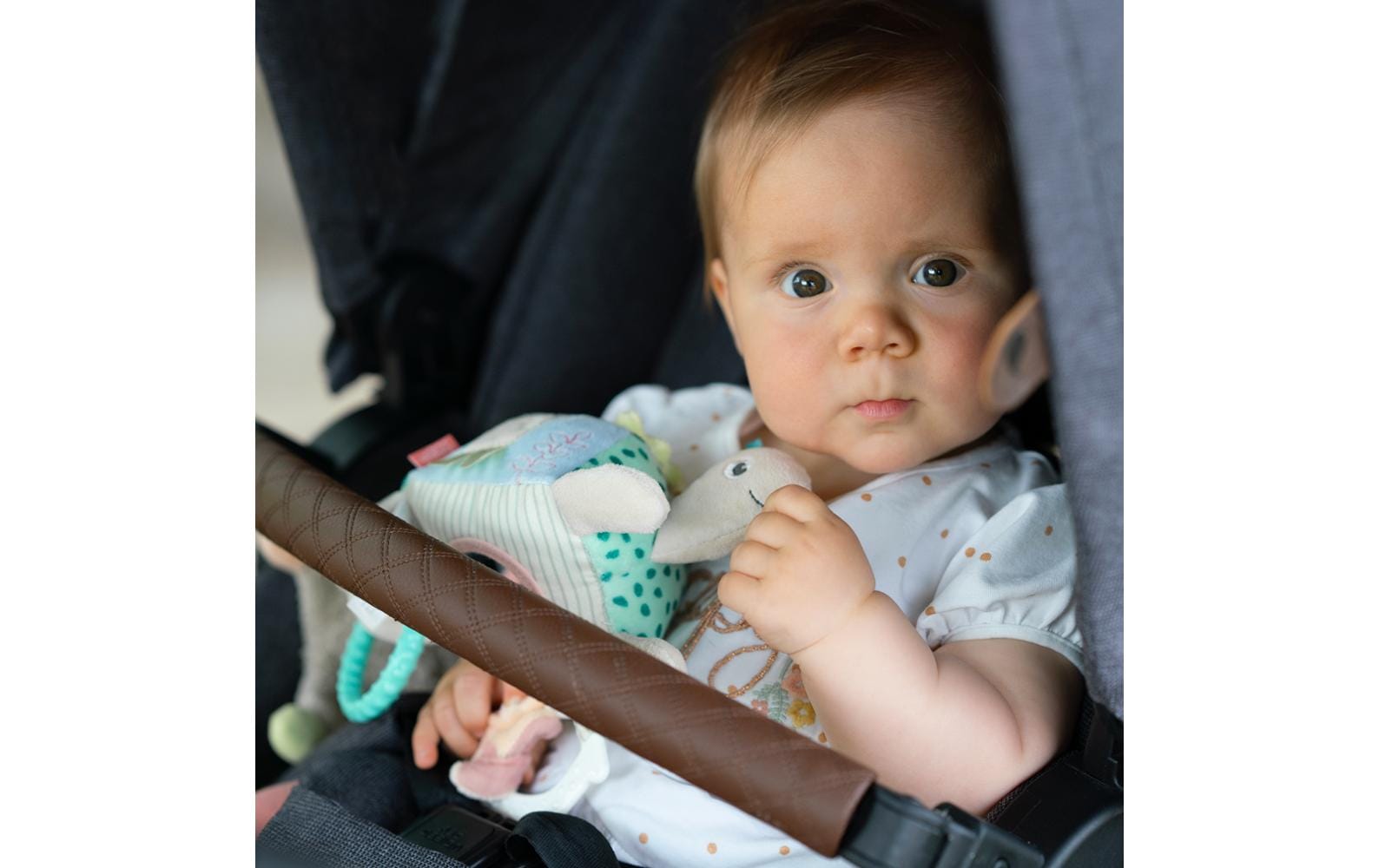 fehn Motorik-Spielzeug Activity Schildkröte