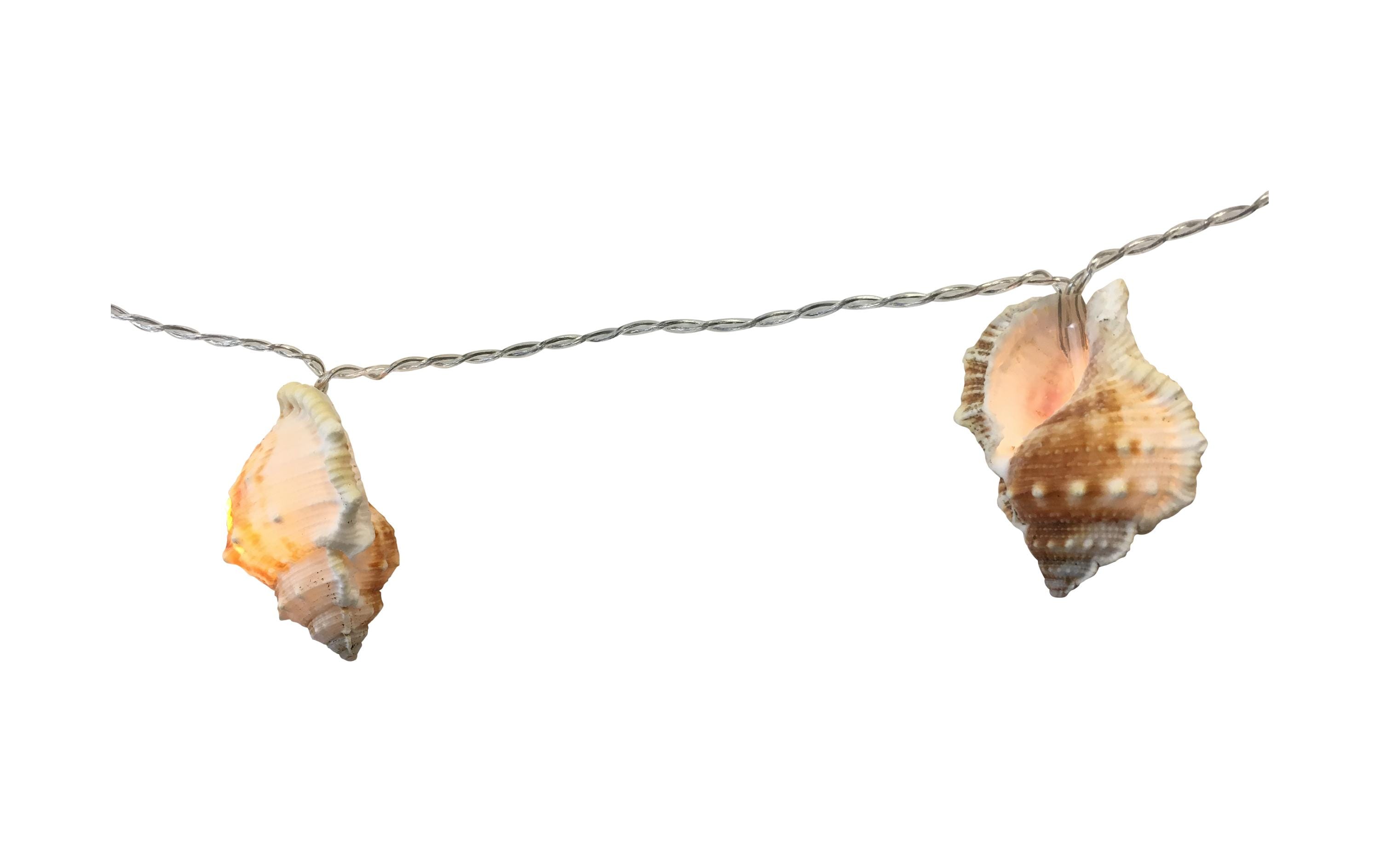 Dameco Lichterkette Maritim Muschel Dameco Lichterkette Maritim Muschel