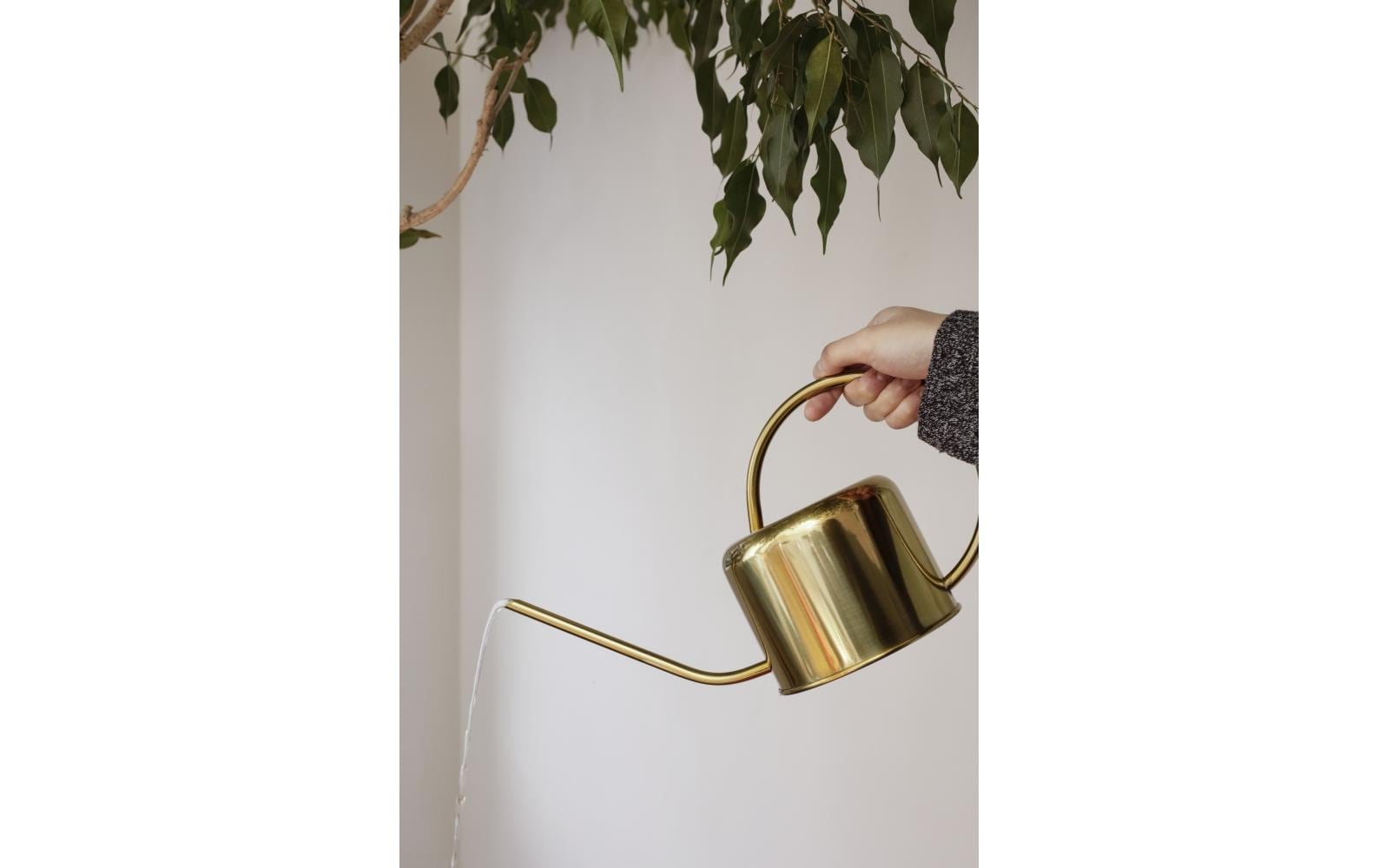 Kikkerland Giesskanne Vintage Gold Kikkerland Giesskanne Vintage Gold