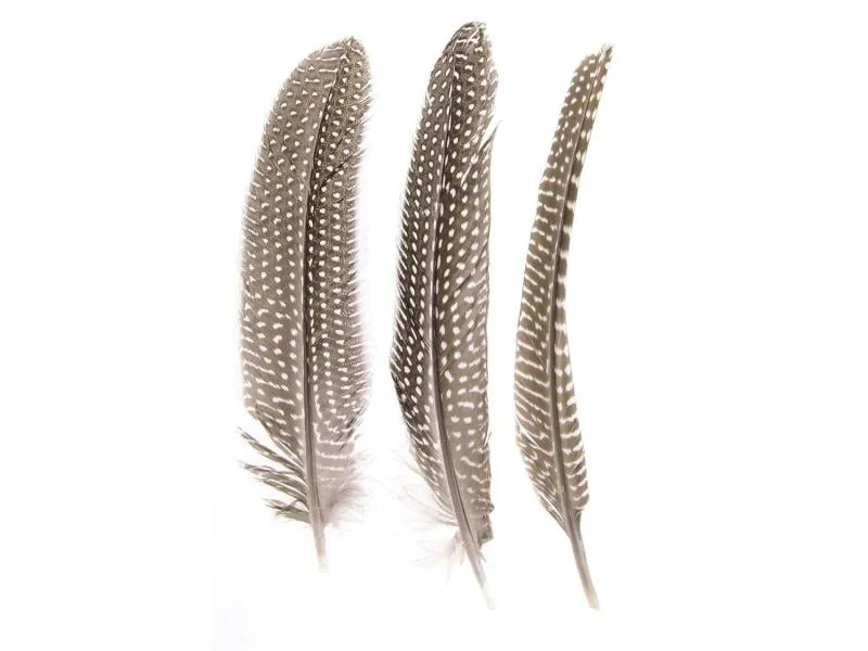 Glorex Federn Perlhuhn 16-18 cm
