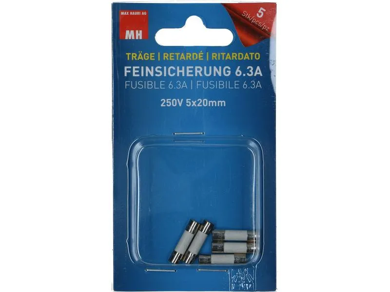 Max Hauri Schmelzsicherung 5 x 20 mm Träge 6.3 A, 5 Stück Max Hauri Schmelzsicherung 5 x 20 mm Träge 6.3 A, 5 Stück