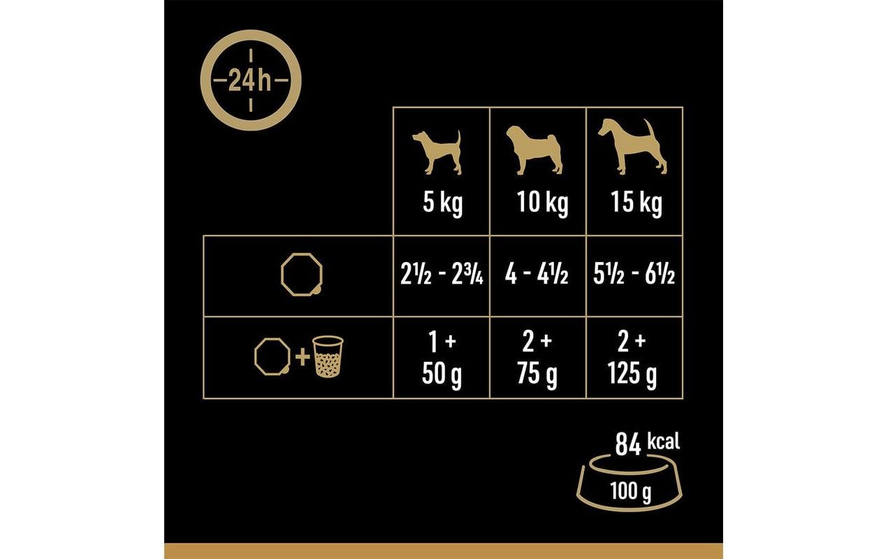 Cesar Nassfutter Landküche Vielfalt Sauce 4 x 150 g