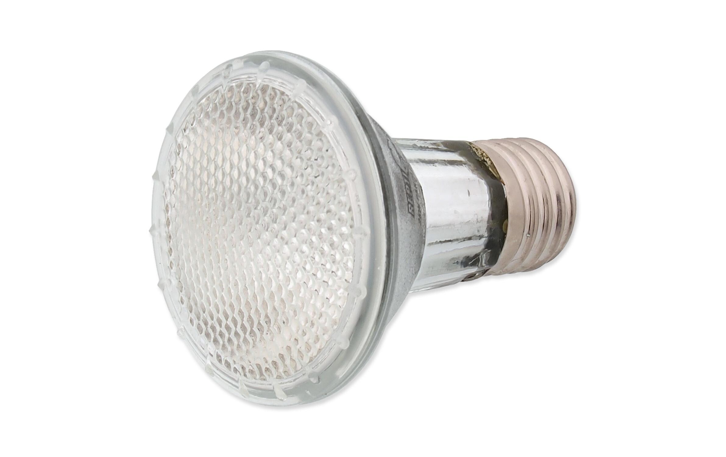 Repti Planet Terrarienlampe Halogen Spot 25 W
