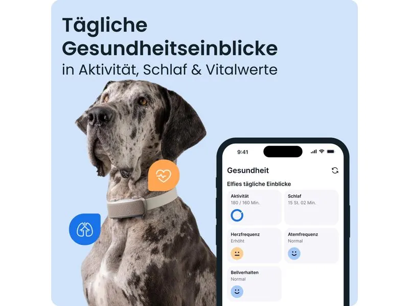 tractive Tractive DOG 6 XL – brown braun, für grosse Hunde ab 20 kg tractive Tractive DOG 6 XL – brown braun, für grosse Hunde ab 20 kg