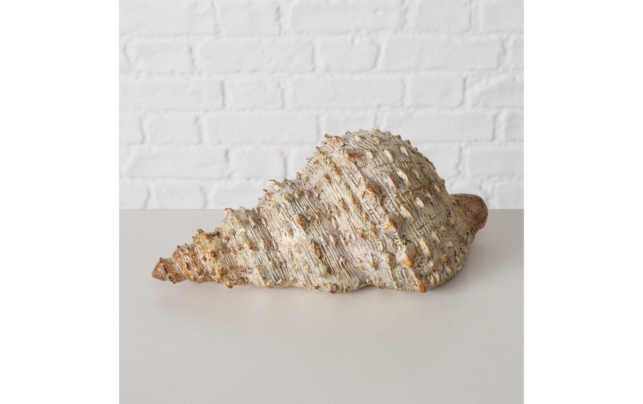 Boltze Aufsteller Muschel Bigo Beige