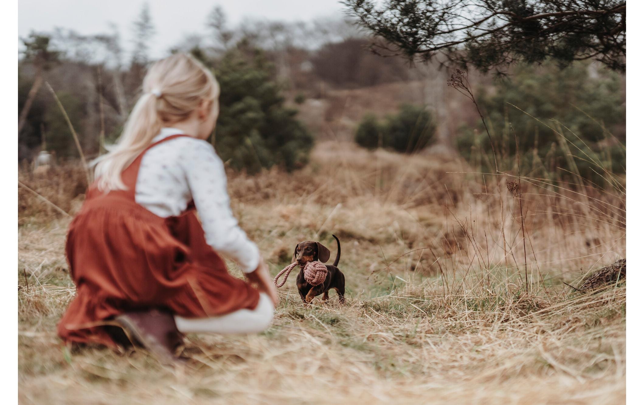 Hunter Hunde-Spielzeug Inari S, Ø 6 cm, Pastellrot