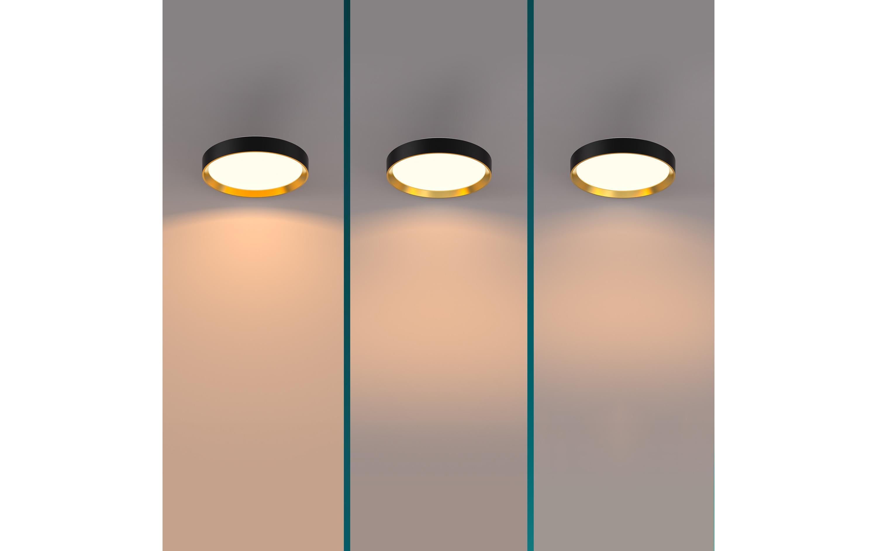 Philips Deckenleuchte Hanno SceneSwitch 2700K, 2700 Lm, Schwarz-Gold