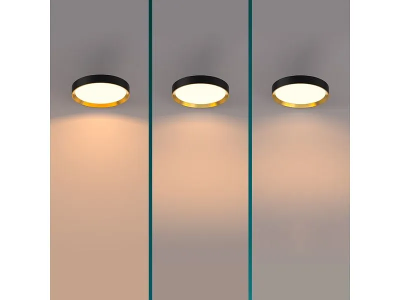 Philips Deckenleuchte Hanno SceneSwitch 2700K, 2700 Lm, Schwarz-Gold Philips Deckenleuchte Hanno SceneSwitch 2700K, 2700 Lm, Schwarz-Gold