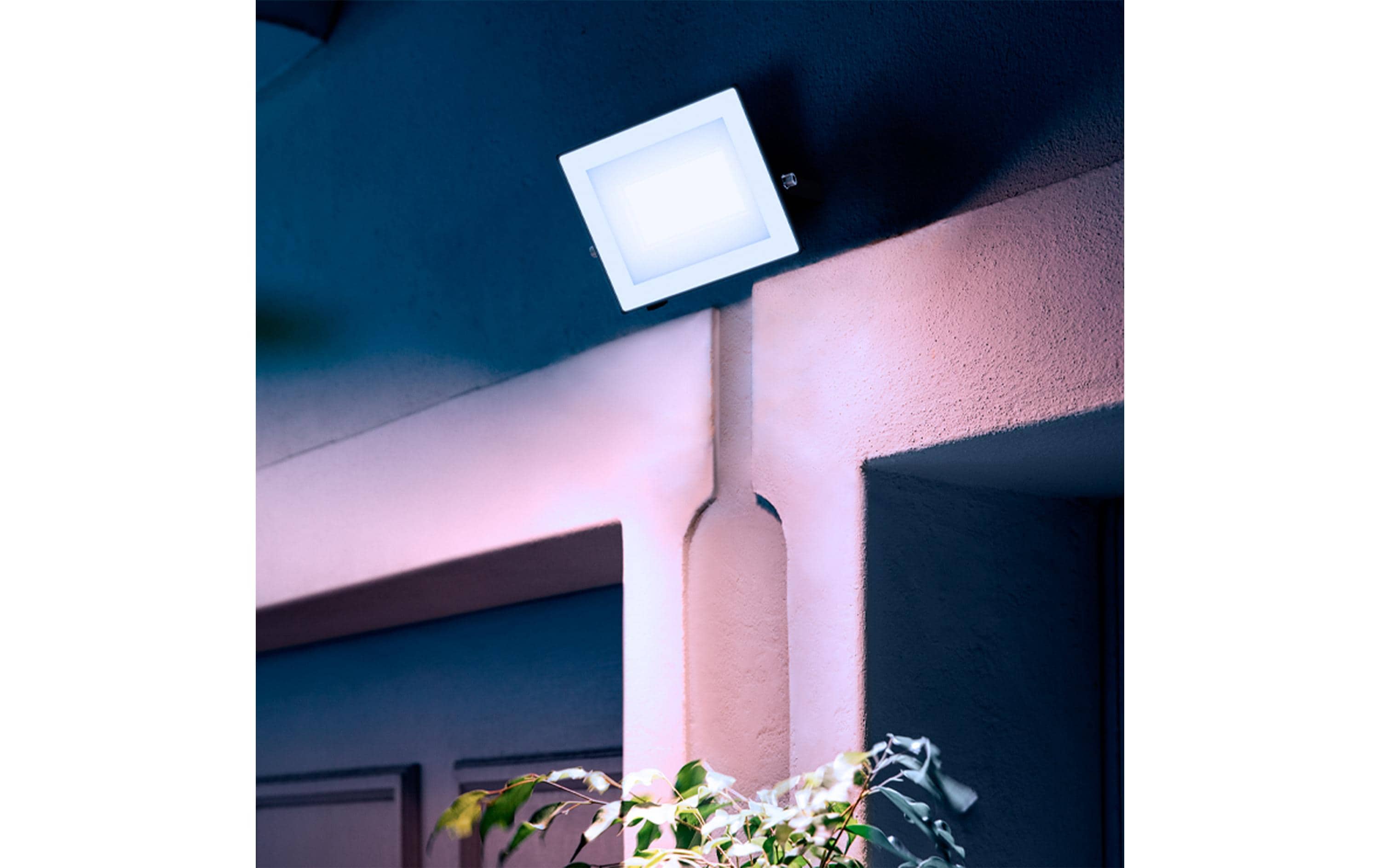 Philips Lois Flutlicht 30W 5000K IP65 schwarz 30 W