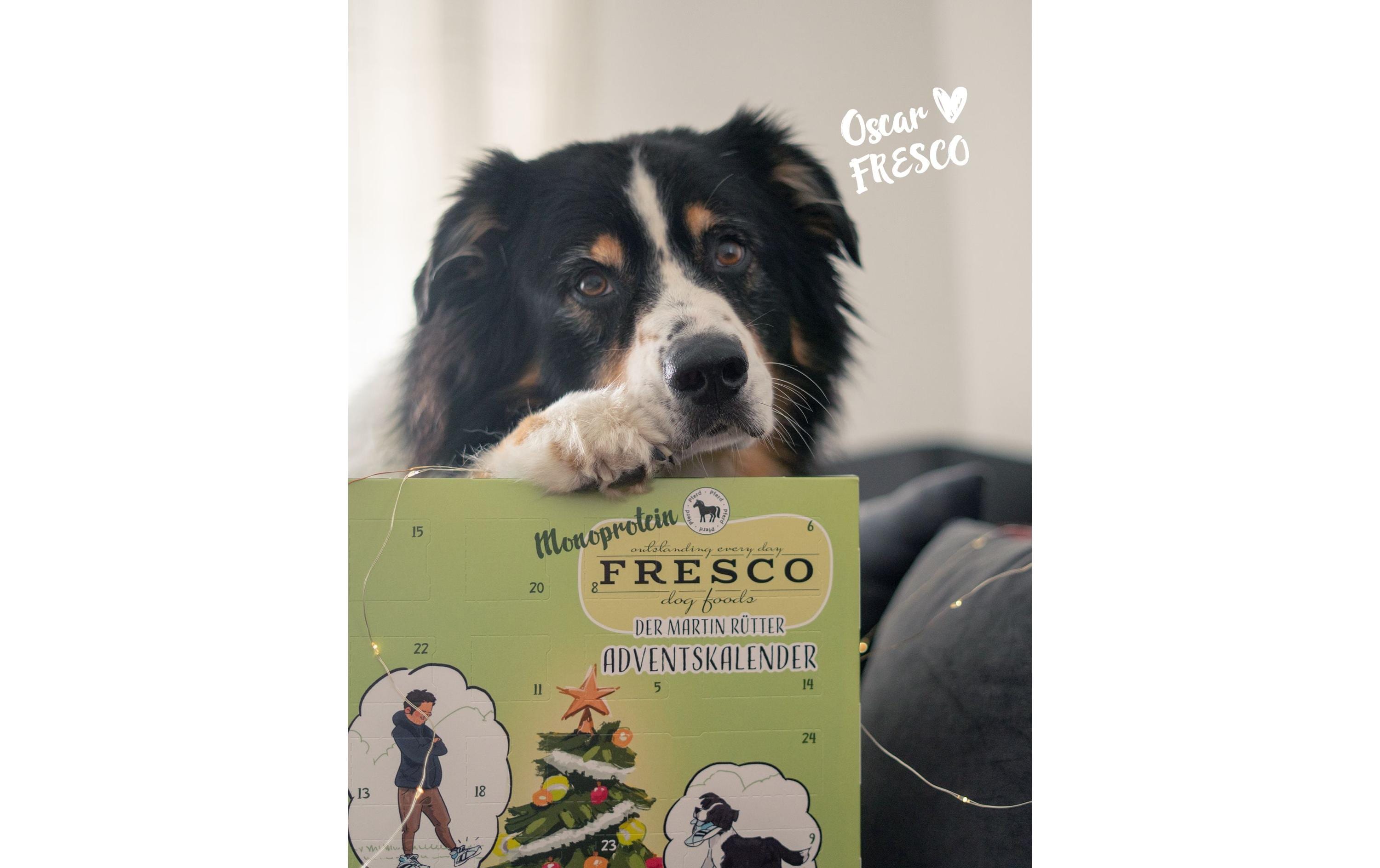 FRESCO Martin Rütter Adventskalender Mono Pferd