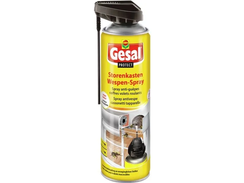 Gesal Protect Storenkasten Wespen-Spray 500 ml Gesal Protect Storenkasten Wespen-Spray 500 ml