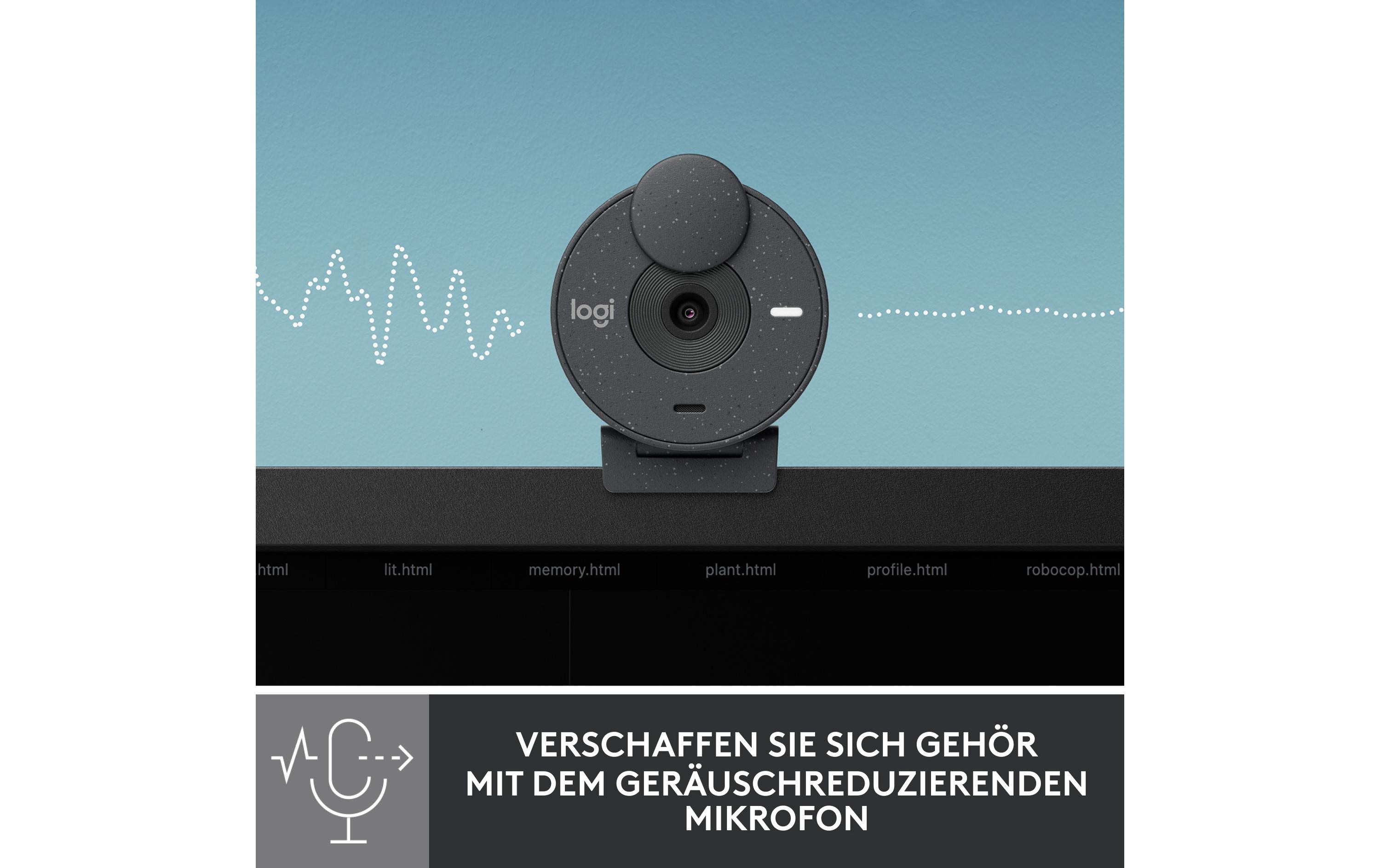 Logitech Webcam Brio 300 Graphite