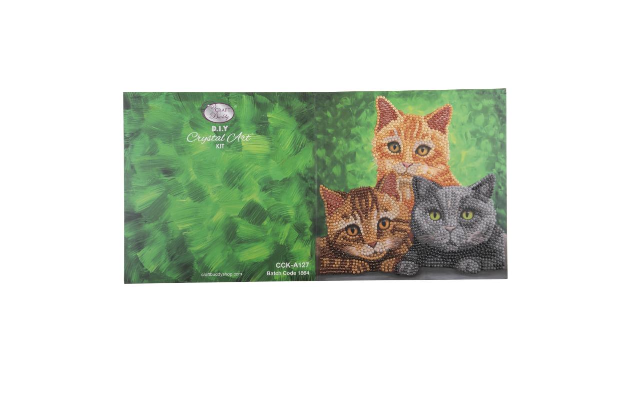 CRAFT Buddy Bastelset Crystal Art Card Katzen