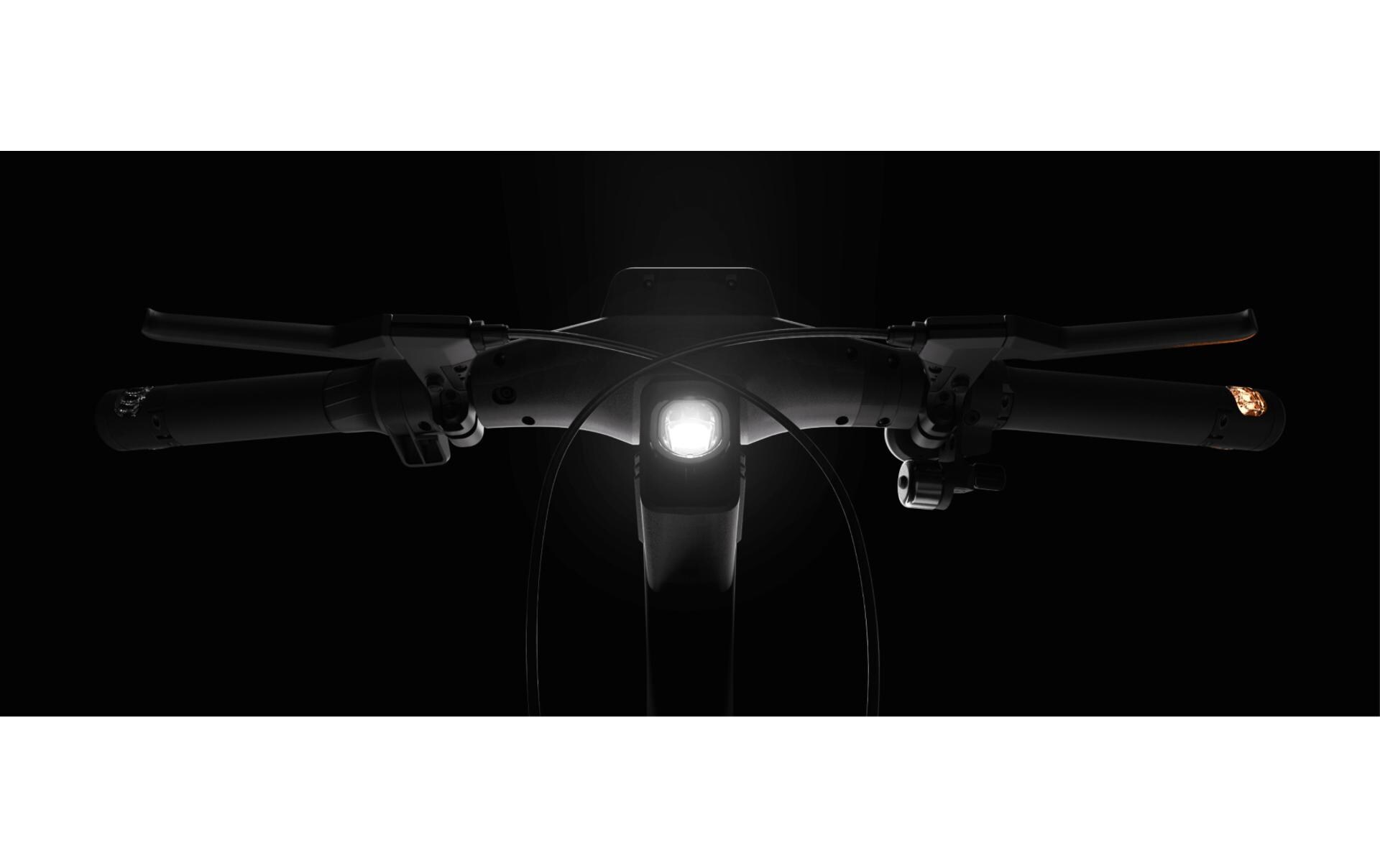 Segway-Ninebot E-Scooter ZT3 Pro D