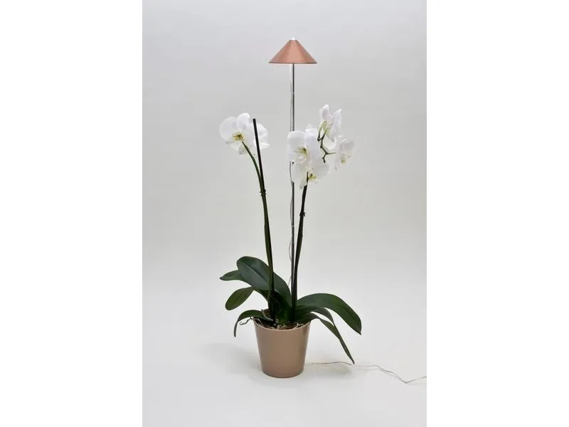 Venso Solutions Pflanzenleuchte SunLite 7 W, Kupfer