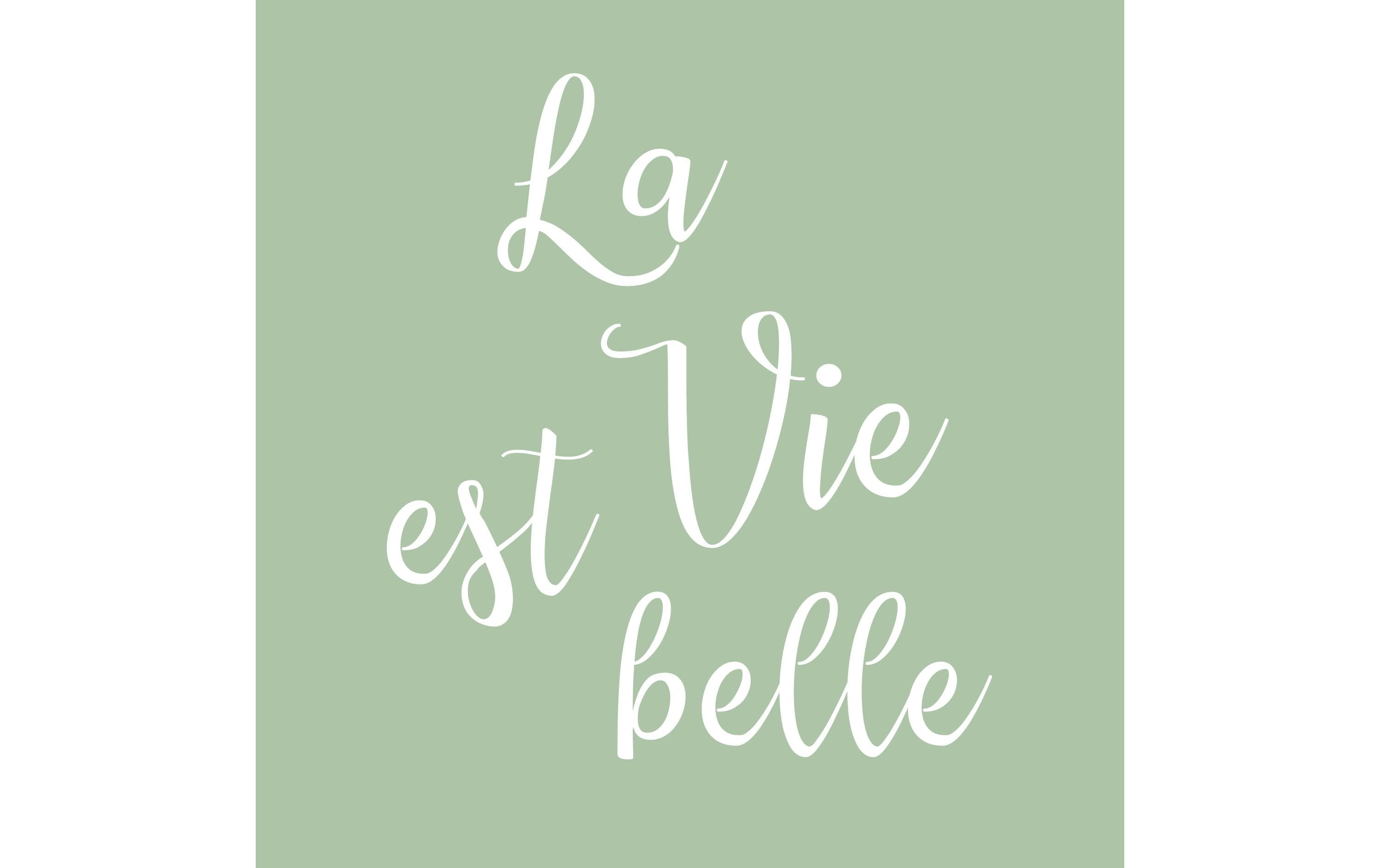 Braun + Company Papierservietten La vie est belle, 33 cm x 33 cm, 20 Stück