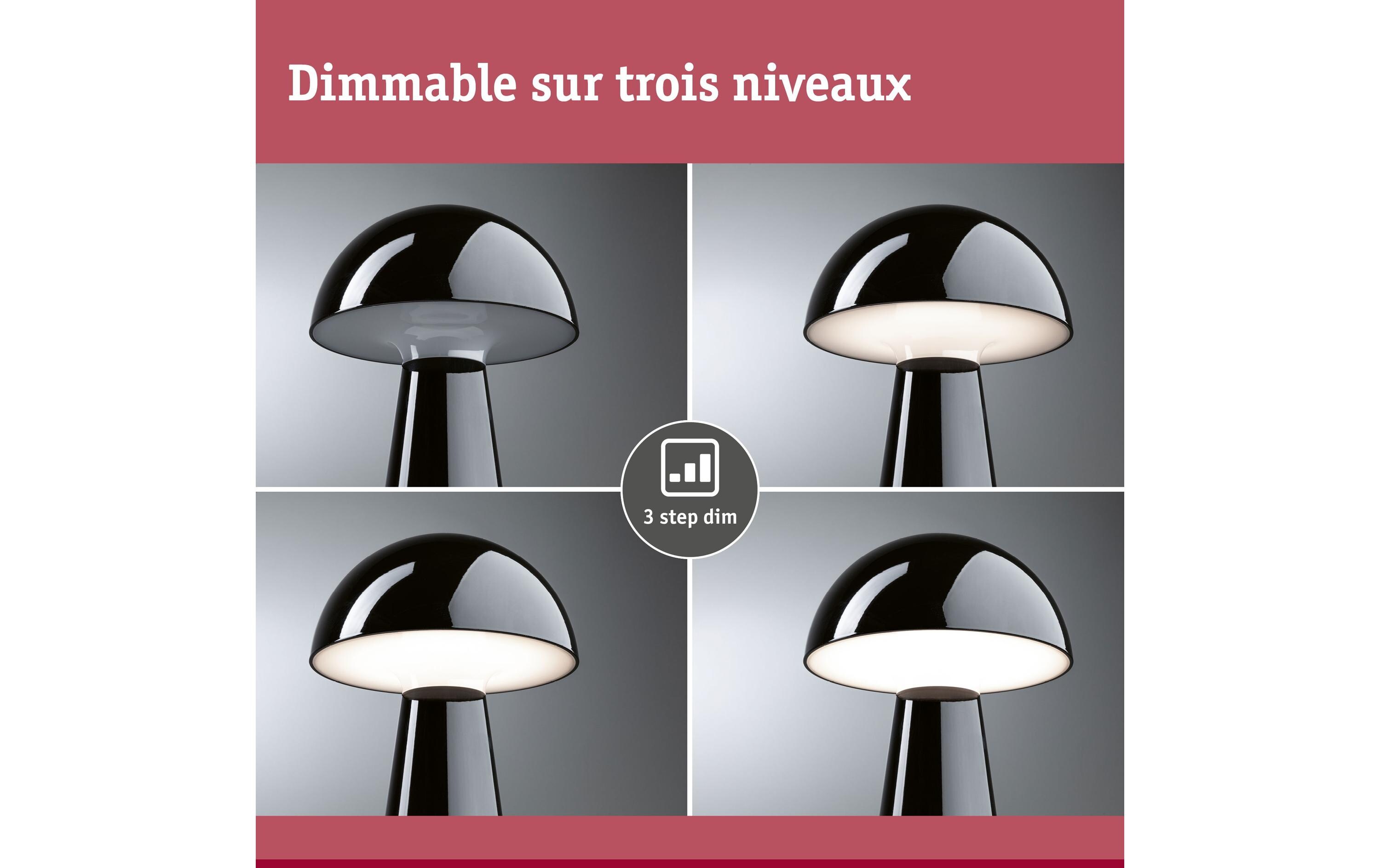 Paulmann Akkuleuchte Onzo 3-Step-Dim IP44 2700K Schwarz