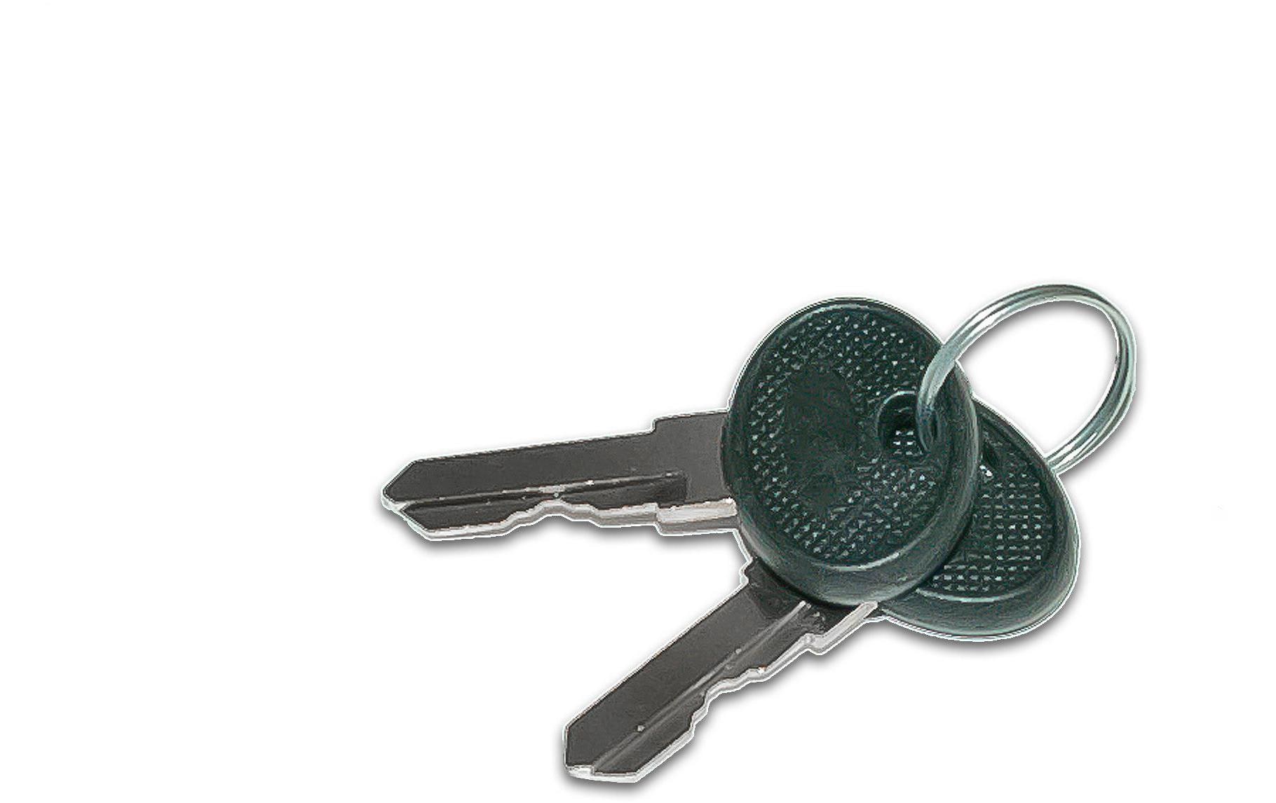 Wirewin Rack Zubehör 2 x Cab Key Serverschrankschlüssel