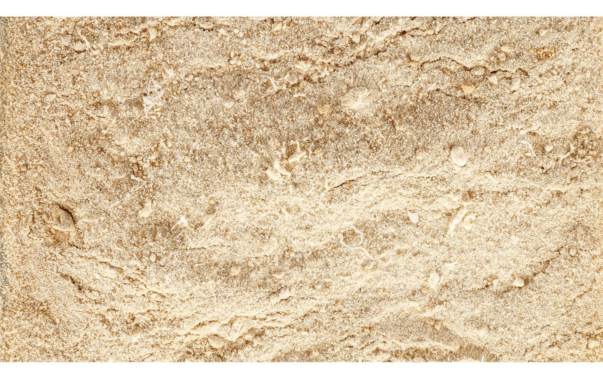 Eric Schweizer Hunde-Nahrungsergänzung Easy Barf Pro Active Pulver, 300 g Eric Schweizer Hunde-Nahrungsergänzung Easy Barf Pro Active Pulver, 300 g