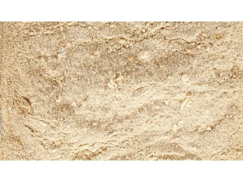 Eric Schweizer Hunde-Nahrungsergänzung Easy Barf Pro Active Pulver, 300 g Eric Schweizer Hunde-Nahrungsergänzung Easy Barf Pro Active Pulver, 300 g
