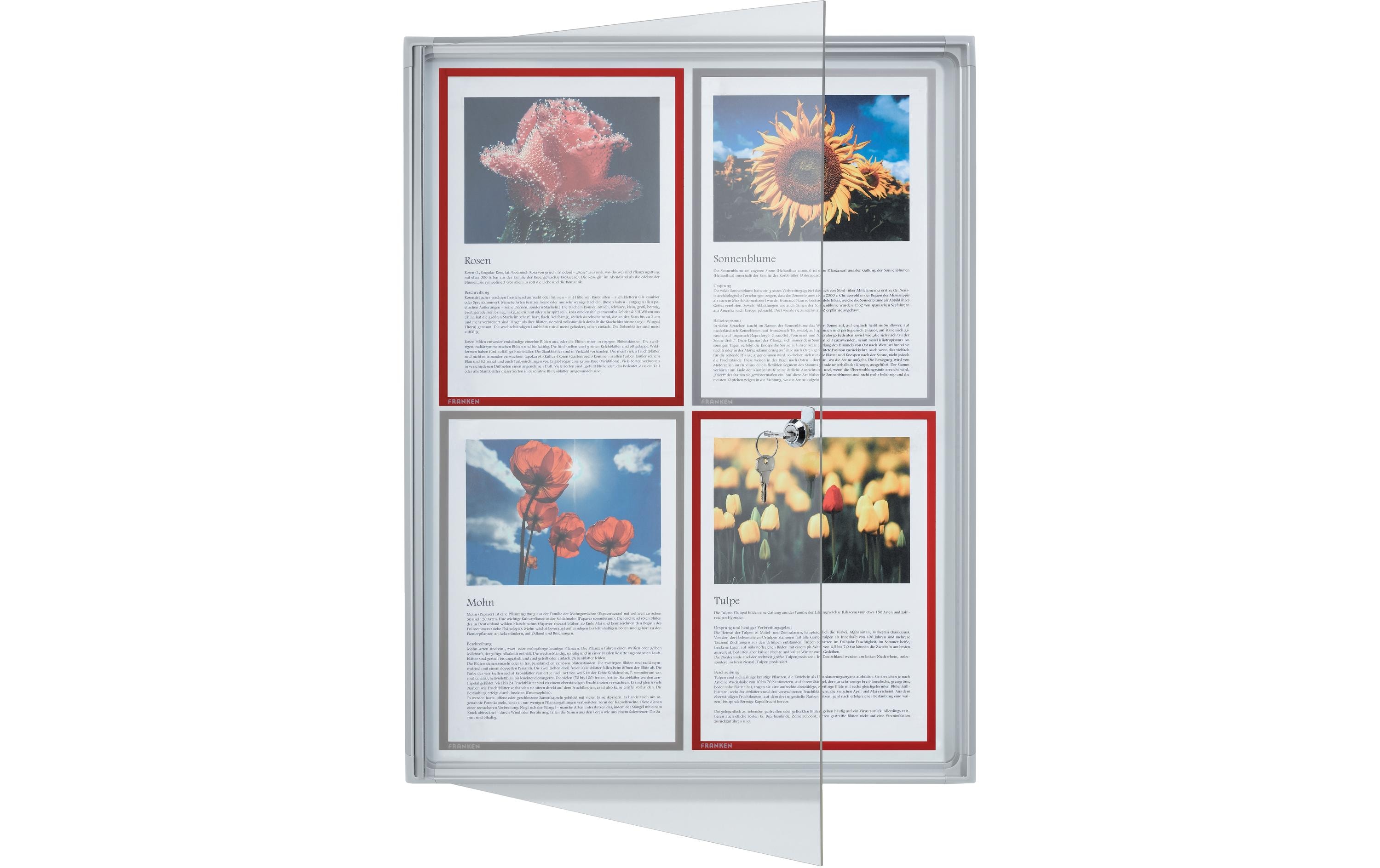 Franken Schaukasten X-tra!Line 4 x A4