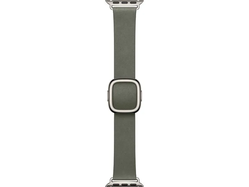 Apple Modern Buckle 42 mm Sage Gray Large