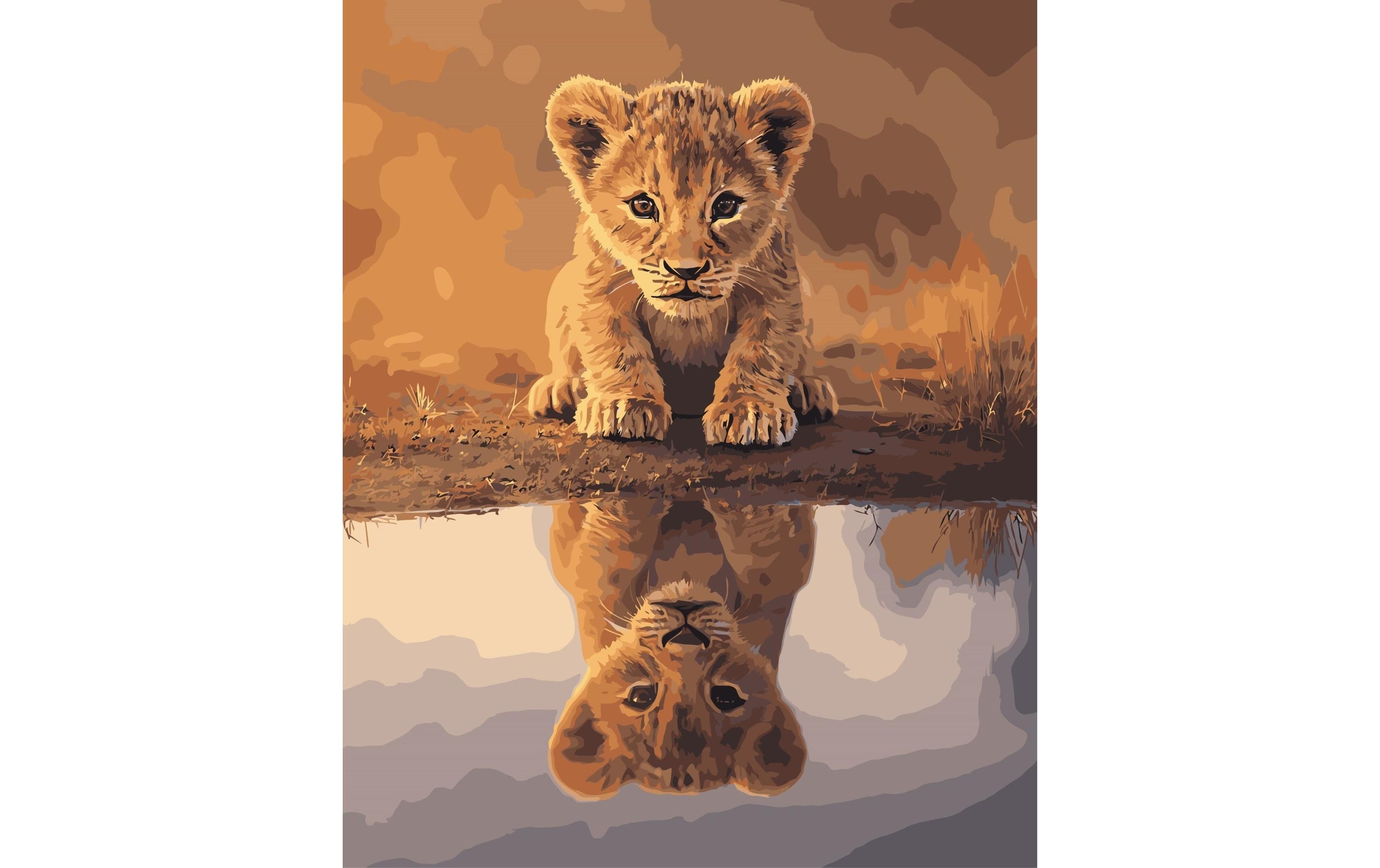 Colorelle Malen nach Zahlen Löwenbaby am Wasserloch Colorelle Malen nach Zahlen Löwenbaby am Wasserloch