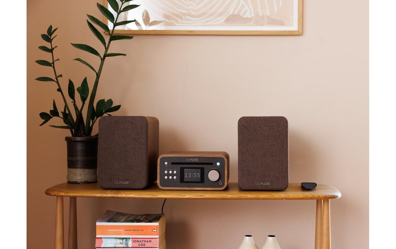 Pure Micro-HiFi Anlage Classic Stereo Mini Walnuss