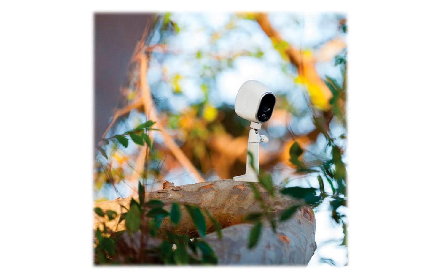 Arlo Decken- & Wandhalterung VMA1000-10000S Weiss 1 Stück Arlo Decken- & Wandhalterung VMA1000-10000S Weiss 1 Stück