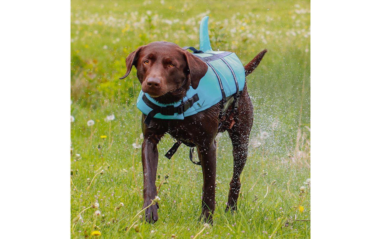 Nobby Schwimmweste Sharki L, 40 cm, Blau