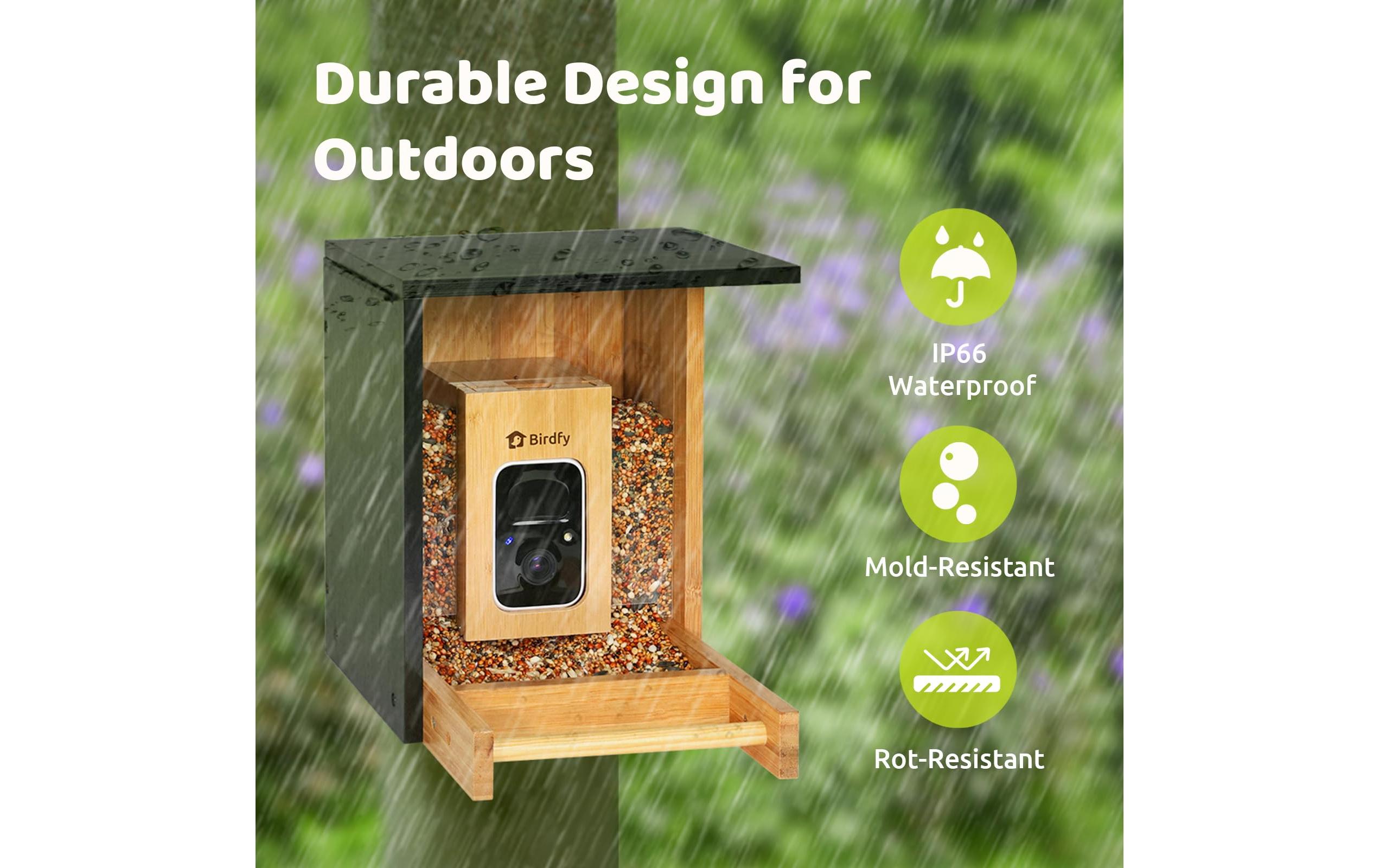 Birdfy Futterspender FSC Bambus Mini Solar