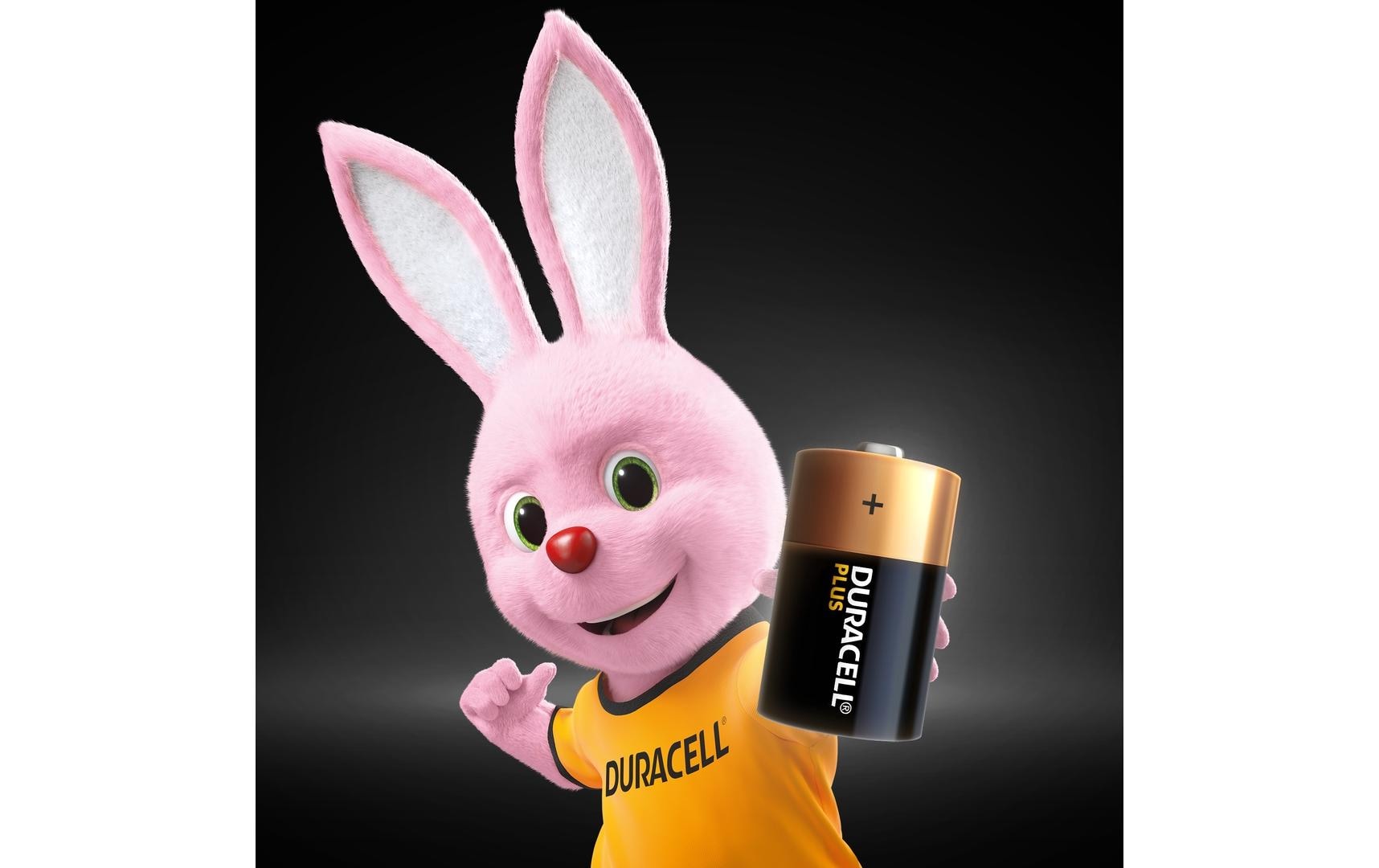 Duracell Batterie D Plus Power 2 Stück