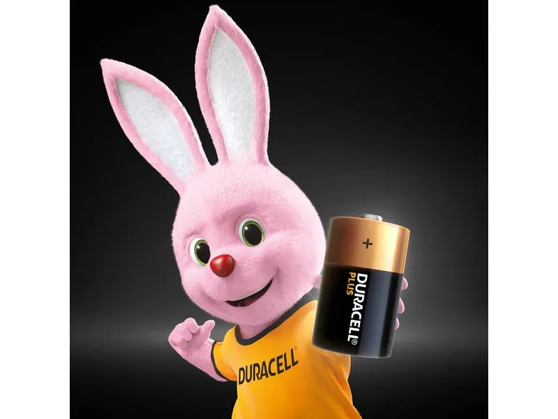 Duracell Batterie D Plus Power 2 Stück Duracell Batterie D Plus Power 2 Stück