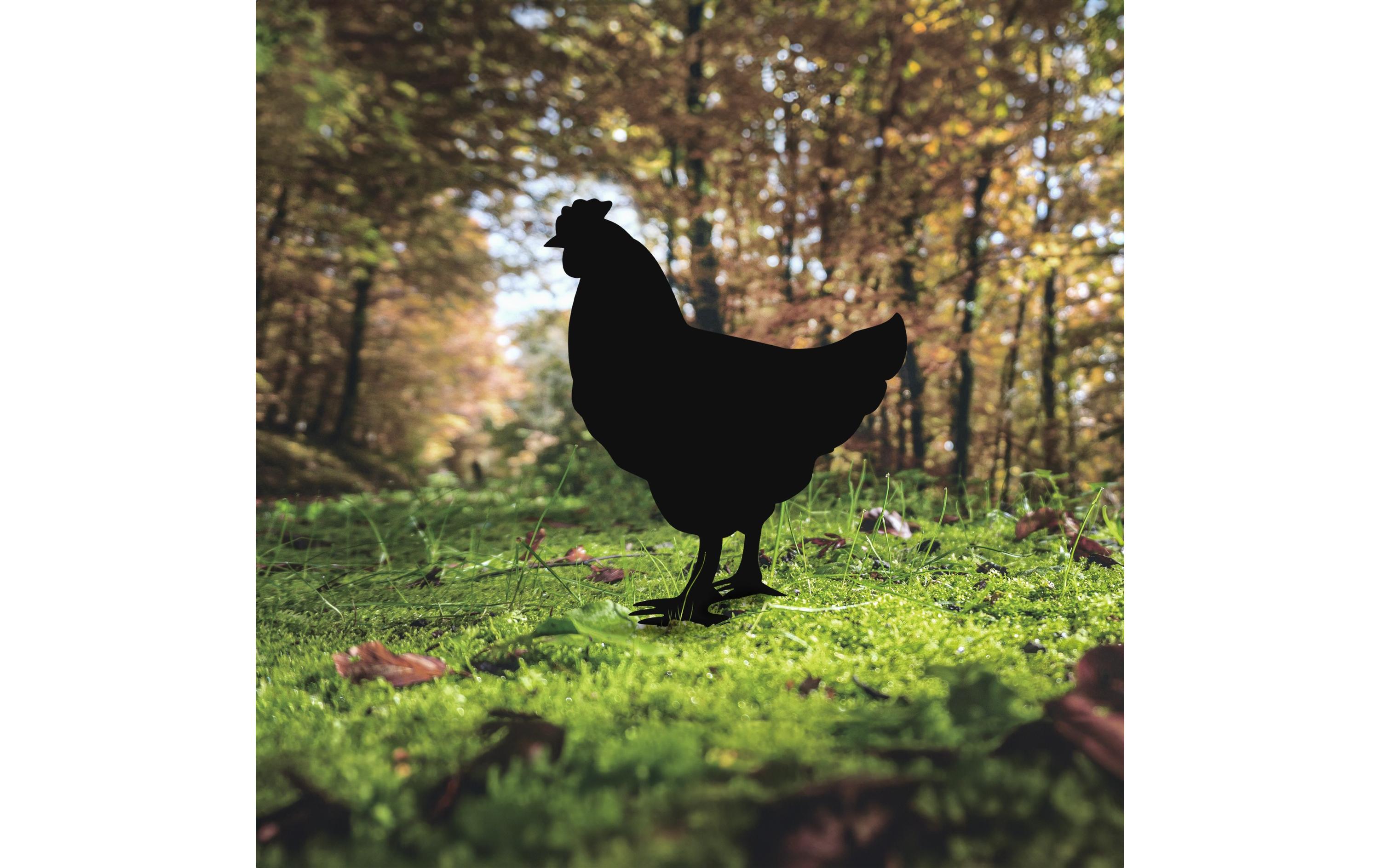 Wallxpert Gartenstecker Chicken 64 x 42 cm