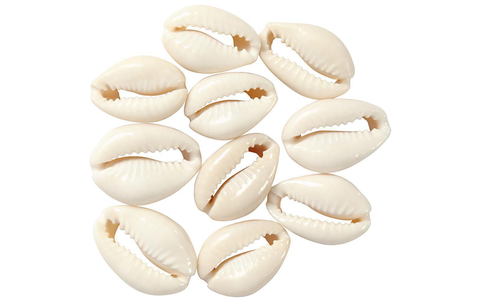 Creativ Company Perlen Muscheln, 20 mm, natur, 12 Stk.