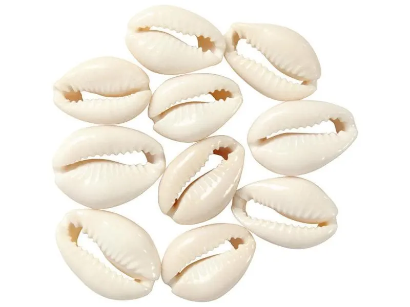 Creativ Company Perlen Muscheln, 20 mm, natur, 12 Stk. Creativ Company Perlen Muscheln, 20 mm, natur, 12 Stk.