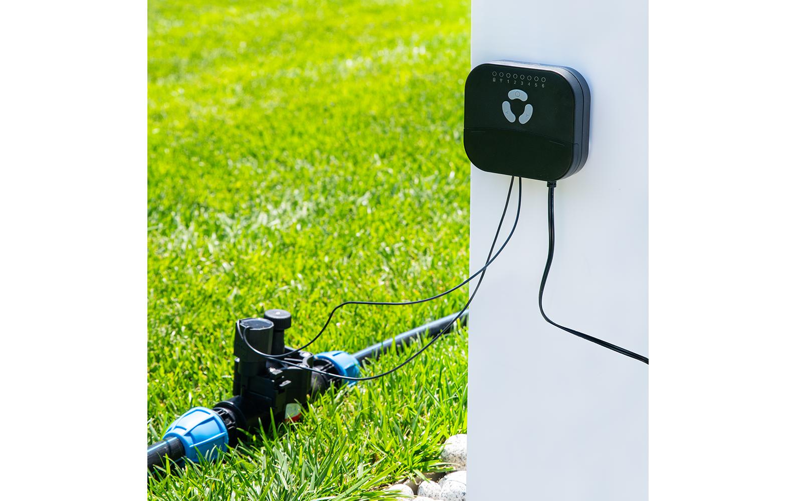 Shelly FrankEver Sprinkler FK-06X