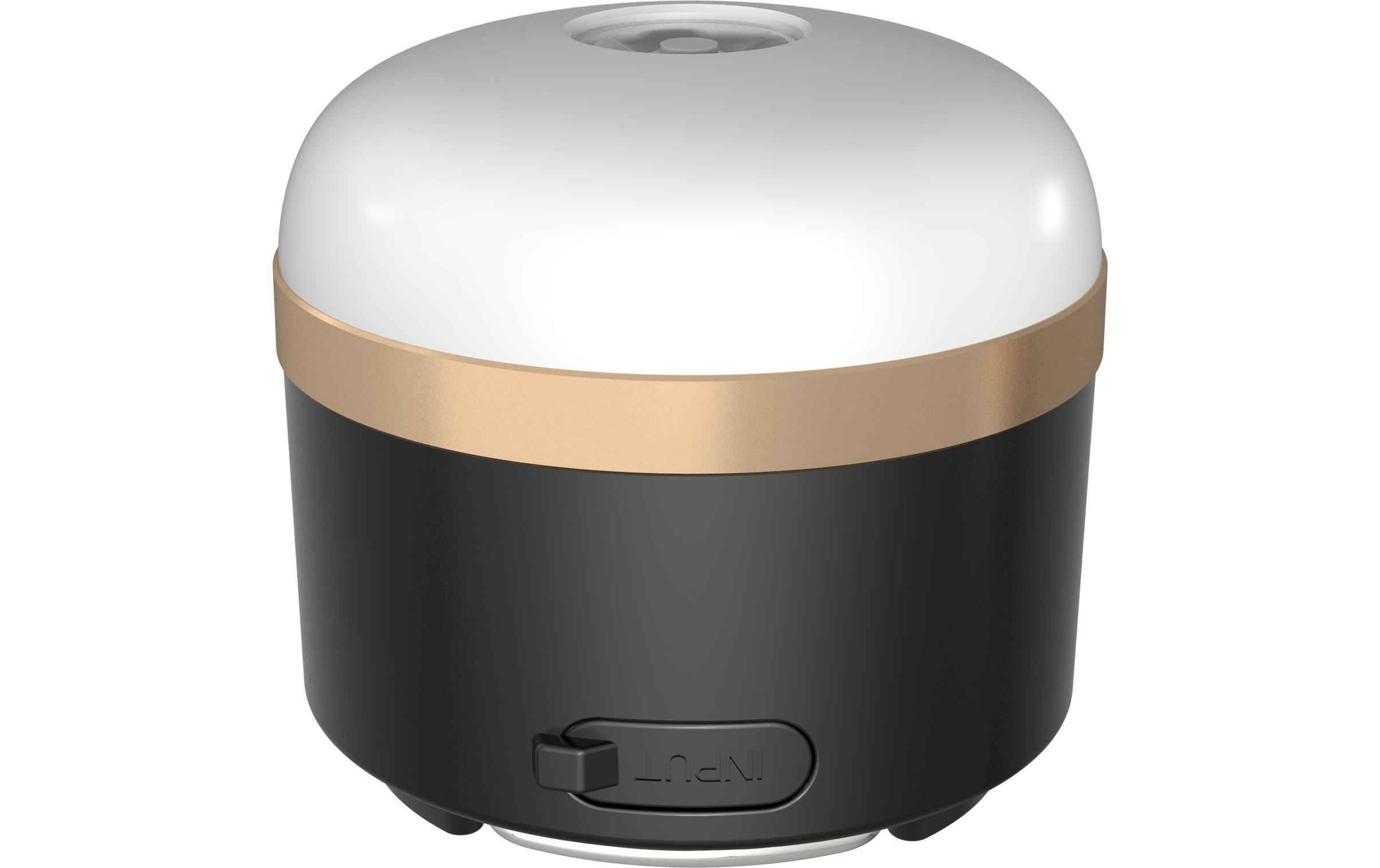 EcoFlow Campinglampe 400 lm