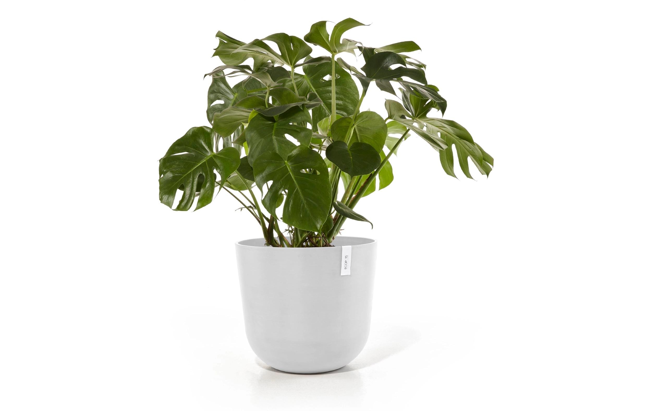 Ecopots Blumentopf Oslo Ø 55 cm Weiss