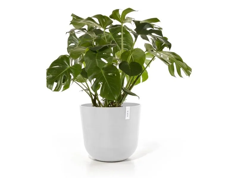 Ecopots Blumentopf Oslo Ø 55 cm Weiss
