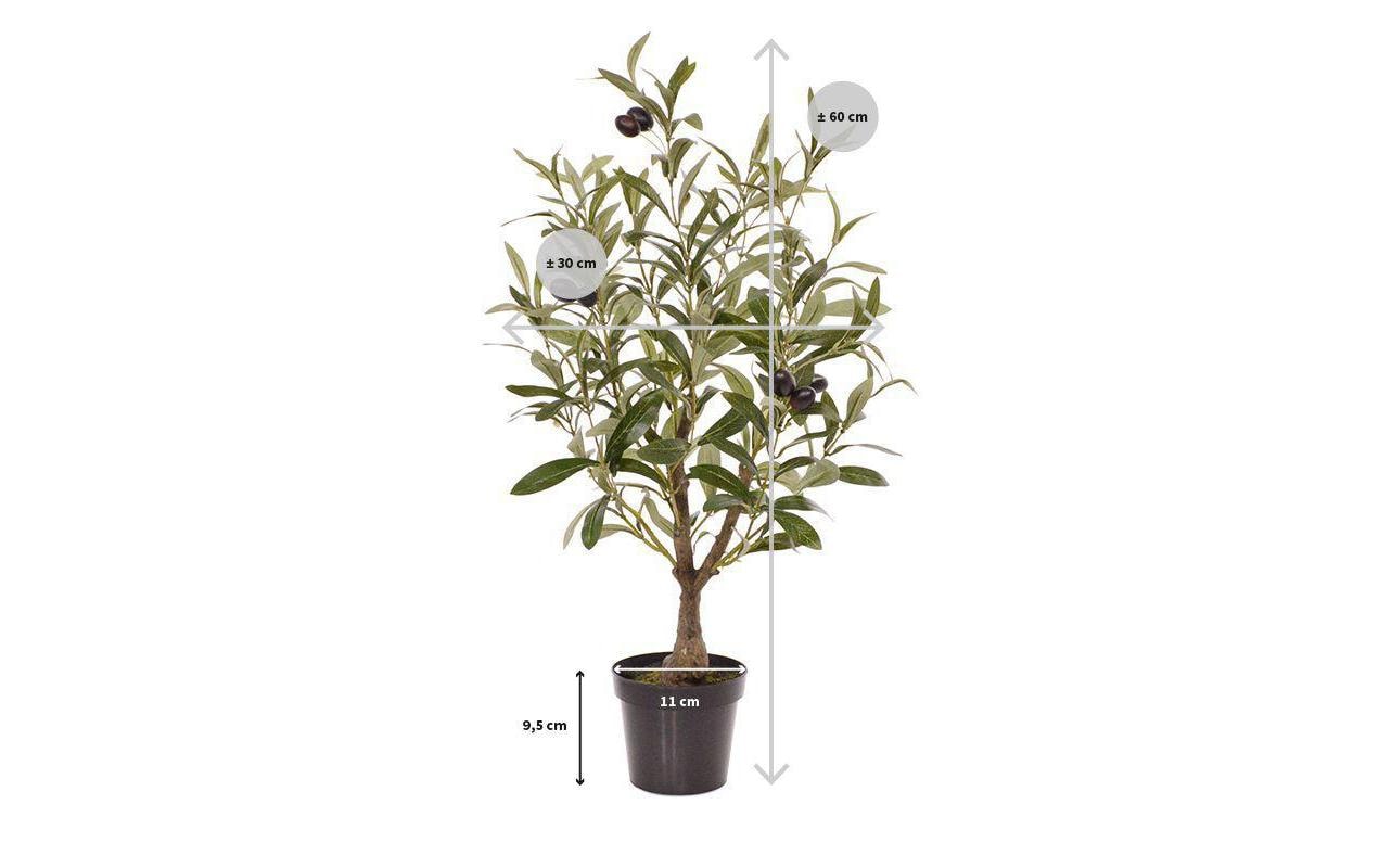Botanic-Haus Kunstpflanze Olivenbaum, 60 cm