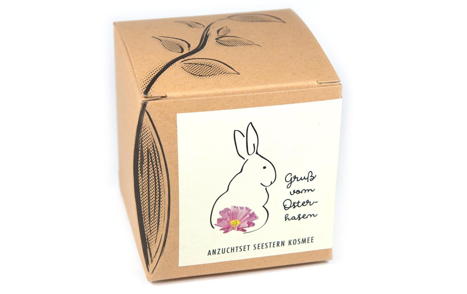 Naturkraftwerk Anzuchtset Gruss vom Osterhasen, mit Seestern Kosmee