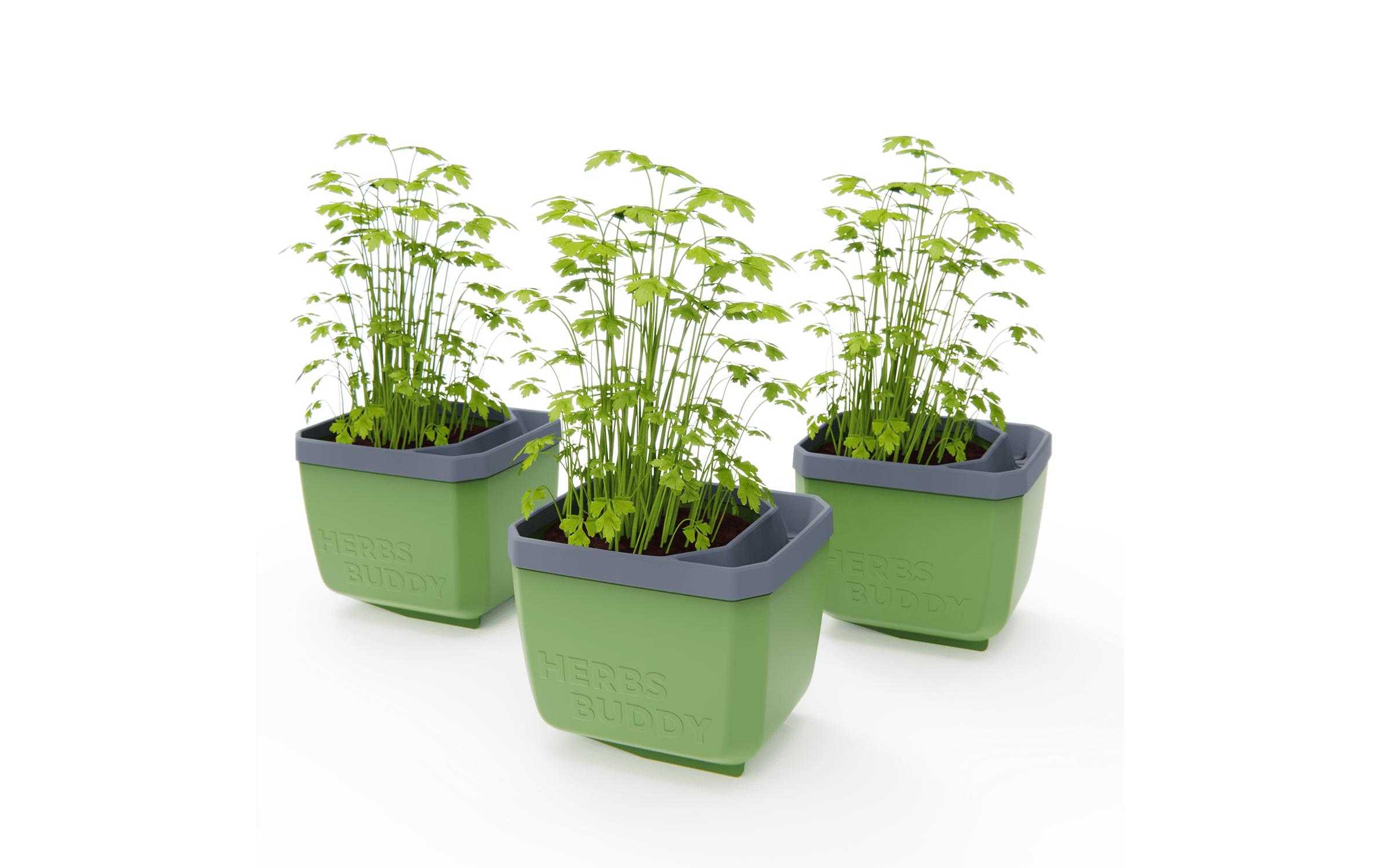 Gusta Garden HERBS BUDDY Kräutertopf 3er Set Grün