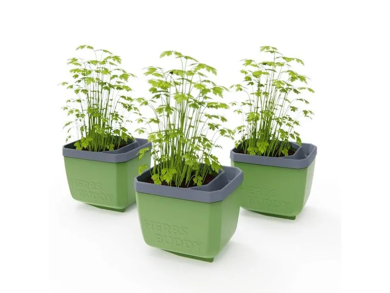 Gusta Garden HERBS BUDDY Kräutertopf 3er Set Grün Gusta Garden HERBS BUDDY Kräutertopf 3er Set Grün