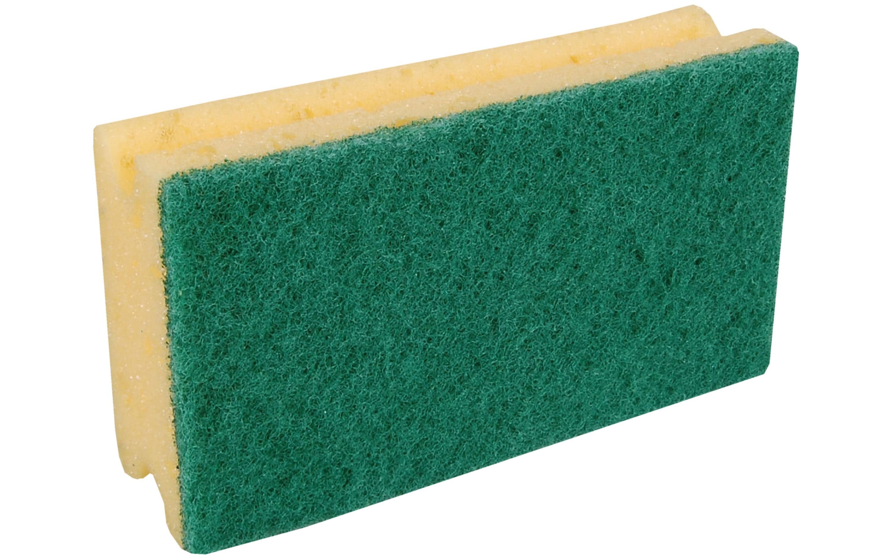 Edi Baur Schwamm Profi 10 Stück, Hellgrün/Gelb, klein